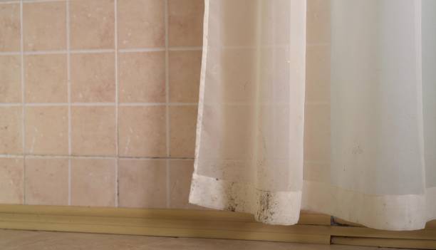 Best Dehumidification Services  in Hawaiian Acres, HI