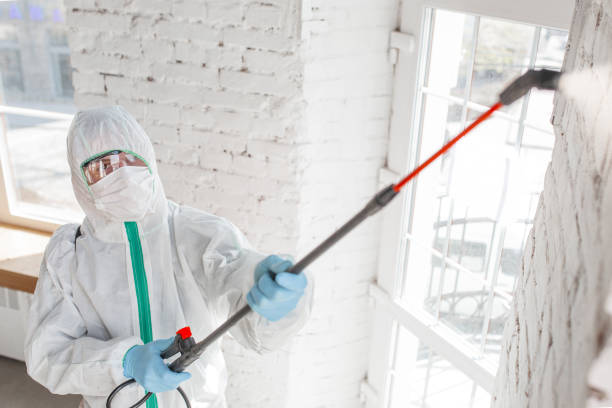 Best Commercial Mold Inspection  in Hawaiian Acres, HI