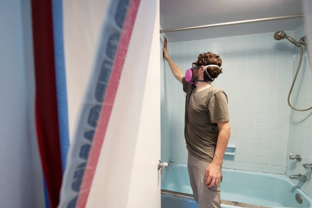 Best Mold Damage Restoration  in Hawaiian Acres, HI