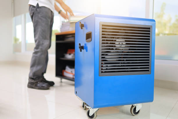 Best Mold Documentation for Insurance Claims  in Hawaiian Acres, HI