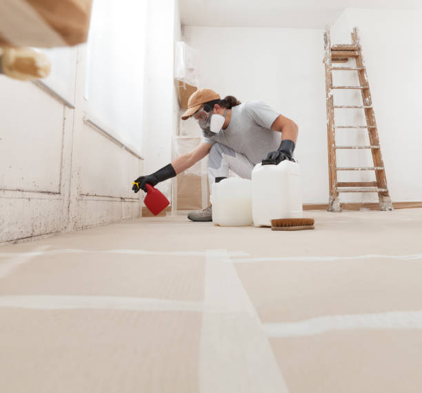 Trusted Hawaiian Acres, HI Mold Removal Experts